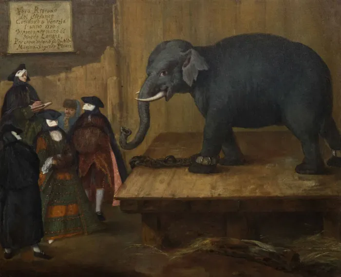 Framed Print : The Elephant, 1774 Framed Print : The Elephant, 1774