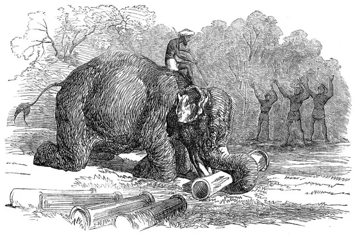 Framed Print : Elephant assisting to lay down water-pipes near Kandy, in Ceylon, 1856. Creator: Unknown Framed Print : Elephant assisting to lay down water-pipes near Kandy, in Ceylon, 1856. Creator: Unknown