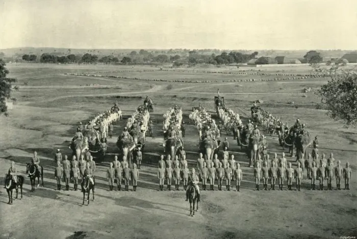 Framed Print : An Elephant Battery, Camp of Exercise, Rawal Pindi, c1890, (1901). Creator Framed Print : An Elephant Battery, Camp of Exercise, Rawal Pindi, c1890, (1901). Creator