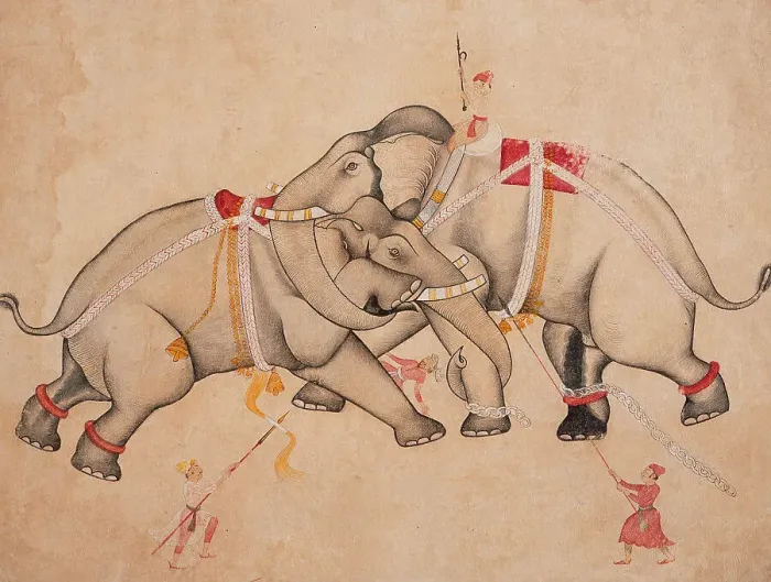Framed Print : Elephant Combat, c1725. Creator: Unknown Framed Print : Elephant Combat, c1725. Creator: Unknown