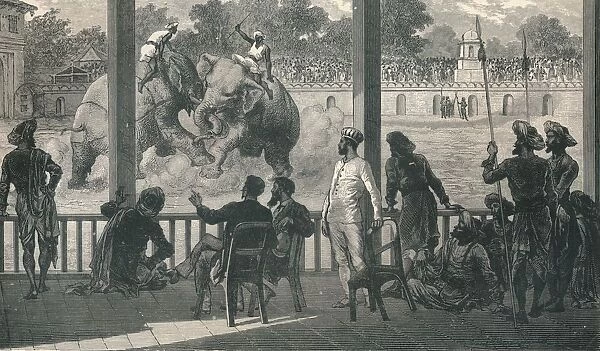 Elephant Fight at Baroda, 1896