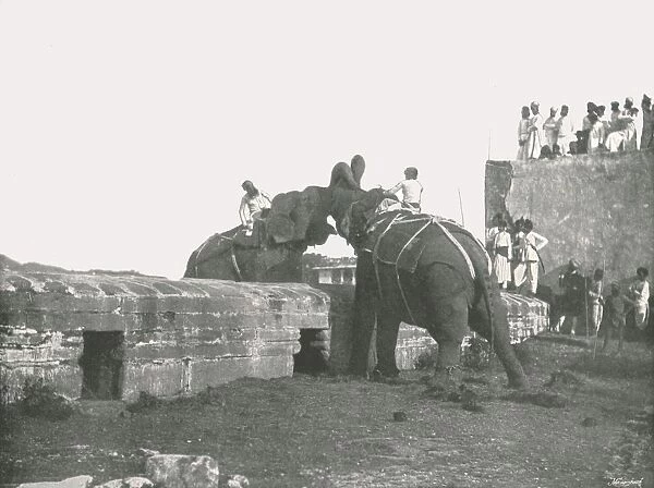 An elephant fight, Hyderabad, India, 1895. Creator: Unknown