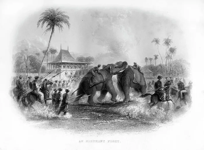 Framed Print : An elephant fight, India, 19th century Framed Print : An elephant fight, India, 19th century