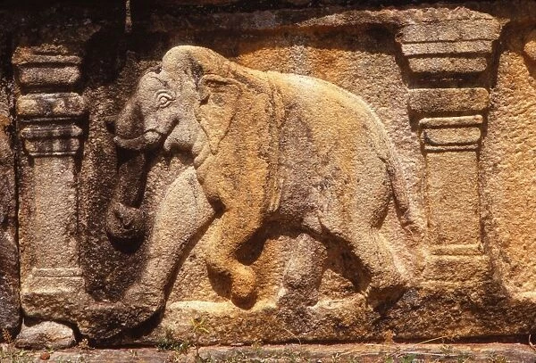 Elephant Frieze on Base of Audience Hall, Polunnaruwa, Sri Lanka, 20th century