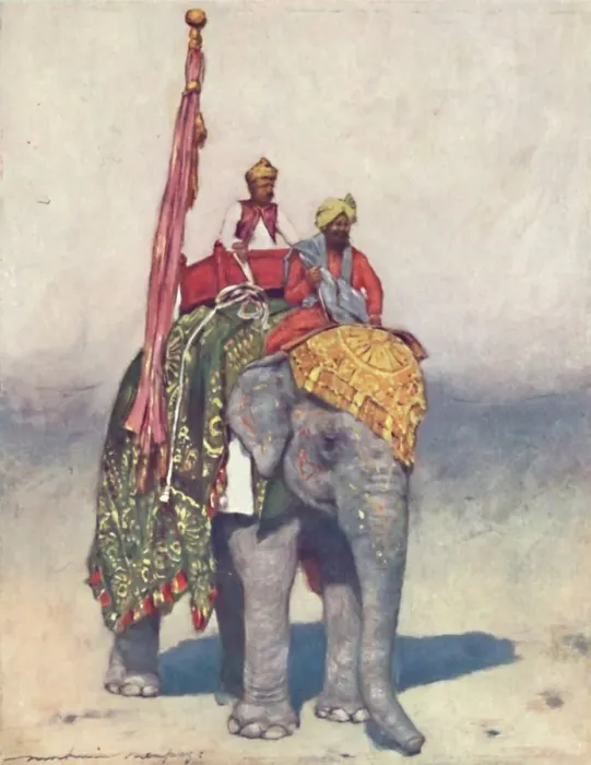 Framed Print : An Elephant from Jaipur, 1903. Artist: Mortimer L Menpes Framed Print : An Elephant from Jaipur, 1903. Artist: Mortimer L Menpes