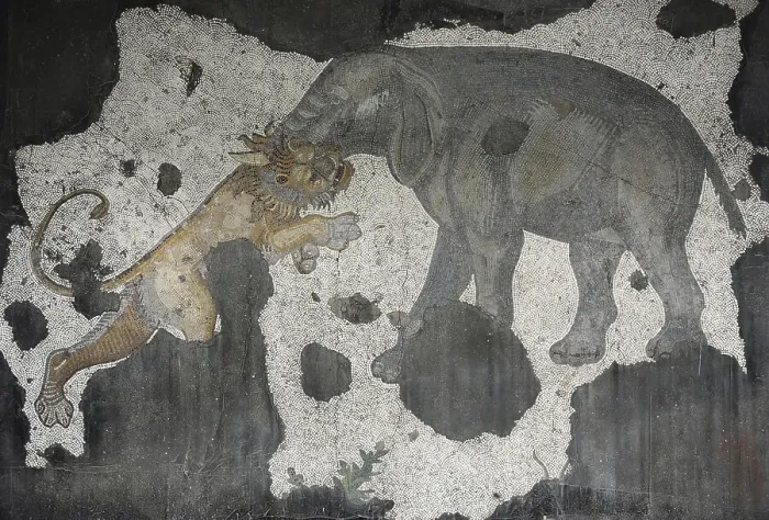 Framed Print : Elephant and lion, mosaic pavement in the Great Palace of Constantinople, 4th-6th century. Creator: Unknown Framed Print : Elephant and lion, mosaic pavement in the Great Palace of Constantinople, 4th-6th century. Creator: Unknown