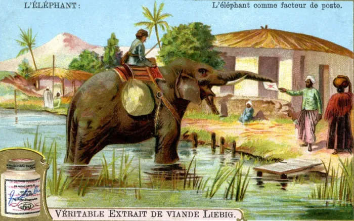 Framed Print : The Elephant as postman, c1900 Framed Print : The Elephant as postman, c1900