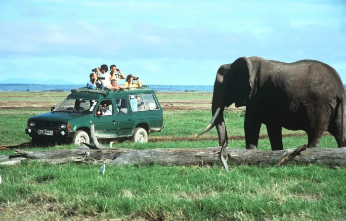 Framed Print : Elephant and safari van, Kenya Framed Print : Elephant and safari van, Kenya