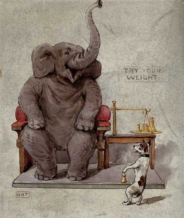 Framed Print : An elephant seated in an armchair is being weighed by a small dog, 1900. Creator: George Hope Tait