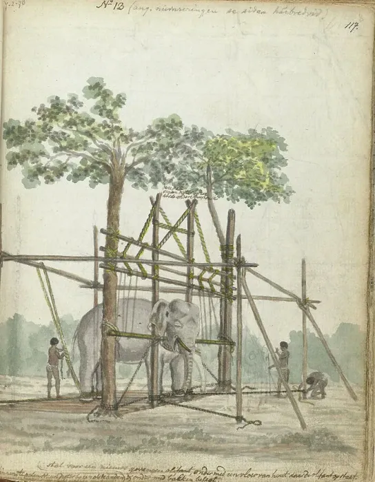 Framed Print : Elephant stable, 1786. Creator: Jan Brandes Framed Print : Elephant stable, 1786. Creator: Jan Brandes