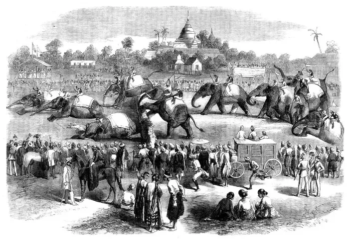 Framed Print : Elephant Steeplechase at Rangoon, 1858. Creator: Unknown