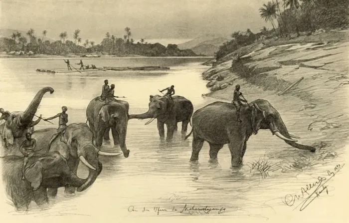 Framed Print : Elephants on the banks of the Mahaweli River, Ceylon, 1898. Creator: Christian Wilhelm Allers Framed Print : Elephants on the banks of the Mahaweli River, Ceylon, 1898. Creator: Christian Wilhelm Allers