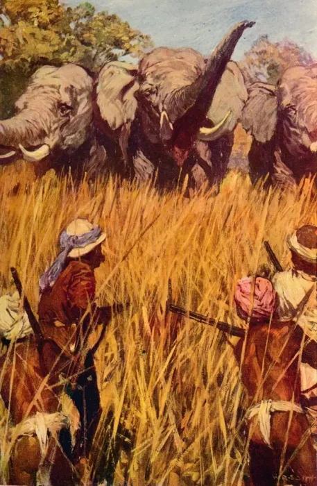 Framed Print : Elephants in Chase, c1850 (c1912) Framed Print : Elephants in Chase, c1850 (c1912)