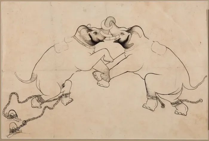 Framed Print : Two Elephants in Combat, early 1700s. Creator: Unknown Framed Print : Two Elephants in Combat, early 1700s. Creator: Unknown