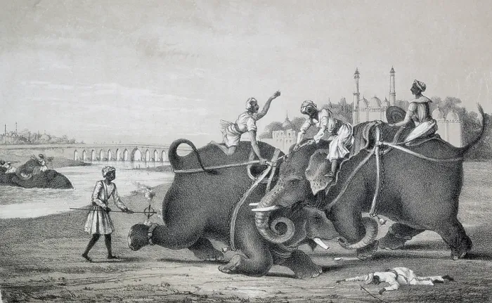 Framed Print : Elephants fighting, India, 1850. Creator: Unknown Framed Print : Elephants fighting, India, 1850. Creator: Unknown
