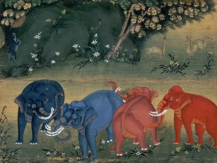 Framed Print : Elephants playing in the forest, 1850. Creator: Unknown Framed Print : Elephants playing in the forest, 1850. Creator: Unknown