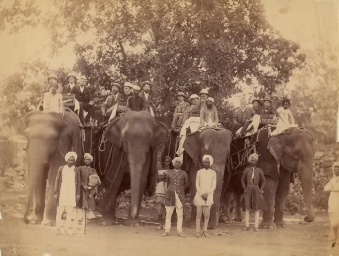 Framed Print : Four Elephants with Western Travellers and Attendants, Jaipur, India, 1860s-70s Framed Print : Four Elephants with Western Travellers and Attendants, Jaipur, India, 1860s-70s