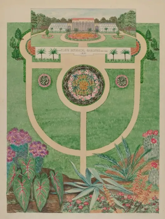 Framed Print : Elgin Botanical Gardens, c. 1936. Creator: Tabea Hosier Framed Print : Elgin Botanical Gardens, c. 1936. Creator: Tabea Hosier