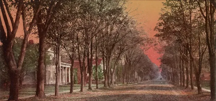 Framed Print : Elizabeth Street, Dansville, N.Y. ca 1900. Creator: Unknown Framed Print : Elizabeth Street, Dansville, N.Y. ca 1900. Creator: Unknown