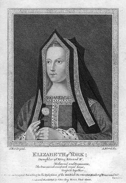 Elizabeth of York, Queen Consort of King Henry VII, (1790). Artist: A Birrell