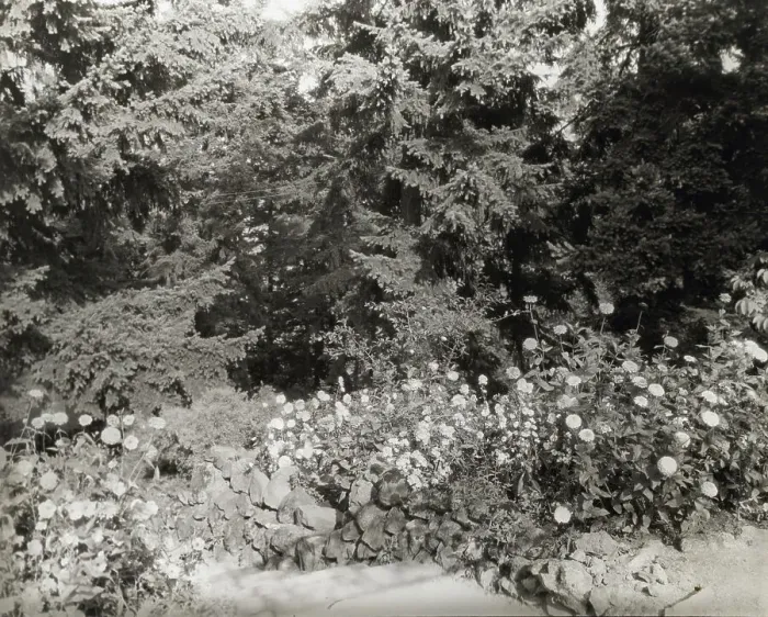 Framed Print : Elk Rock, Peter Kerr house, 11800 SW Military Lane, Portland, Oregon, 1923. Creator: Frances Benjamin Johnston. Elk Rock, Peter Kerr house, 11800 SW Military Lane, Portland, Oregon, 1923. Creator: Frances Benjamin Johnston Framed Print : Elk Rock, Peter Kerr house, 11800 SW Military Lane, Portland, Oregon, 1923. Creator: Frances Benjamin Johnston. Elk Rock, Peter Kerr house, 11800 SW Military Lane, Portland, Oregon, 1923. Creator: Frances Benjamin Johnston
