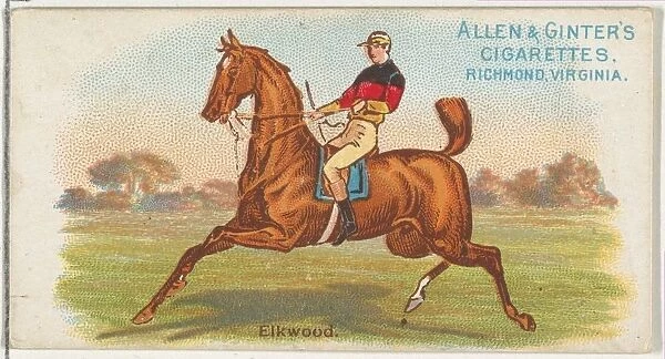Elkwood, from The Worlds Racers series (N32) for Allen & Ginter Cigarettes, 1888