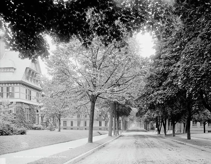 Framed Print : Elm Street, Holyokke [sic], Mass. c1908. Creator: Unknown