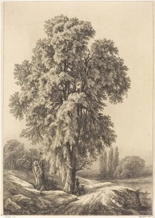 Framed Print : The Elm Tree, 1840. Creator: Eugene Blery Framed Print : The Elm Tree, 1840. Creator: Eugene Blery