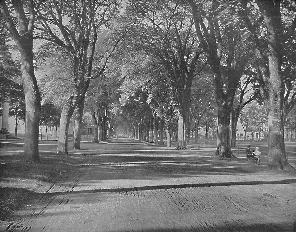 The Elms, New Haven, Conn. c1897. Creator: Unknown