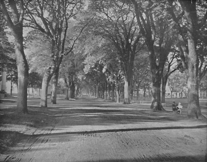 Framed Print : The Elms, New Haven, Conn. c1897. Creator: Unknown Framed Print : The Elms, New Haven, Conn. c1897. Creator: Unknown