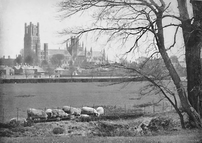Framed Print : Ely Cathedral, c1896. Artist: GW Wilson and Company Framed Print : Ely Cathedral, c1896. Artist: GW Wilson and Company