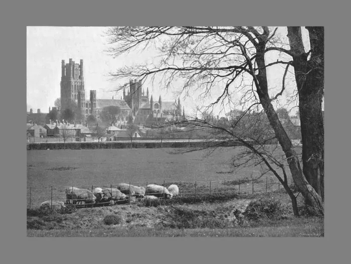 Framed Print : Ely Cathedral, c1900. Artist: GW Wilson and Company Framed Print : Ely Cathedral, c1900. Artist: GW Wilson and Company