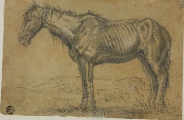 Framed Print : Emaciated Horse (recto); Frontal View of a Horse (verso), n. d Framed Print : Emaciated Horse (recto); Frontal View of a Horse (verso), n. d