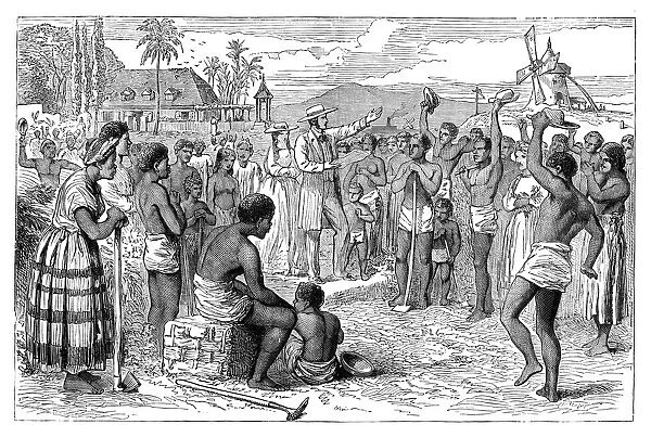 The emancipation of slaves on a West Indian plantation, early 19th century (c1895)