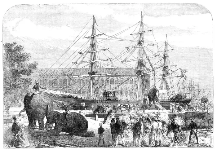 Framed Print : Embarking elephants at Bombay for the Abyssinian Expedition, 1868. Creator: C. R