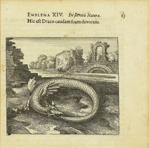 Emblem 14. This is the dragon eating its own tail. From 'Atalanta fugiens' by Michael Maier, 1618. Creator: Merian, Matthäus, the Elder (1593-1650). Emblem 14. This is the dragon eating its own tail