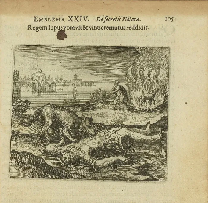 Framed Print : Emblem 24. The wolf ate the king, and how he burned the life back to him, 1618. Creator: Merian, Matthäus, the Elder (1593-1650) Framed Print : Emblem 24. The wolf ate the king, and how he burned the life back to him, 1618. Creator: Merian, Matthäus, the Elder (1593-1650)