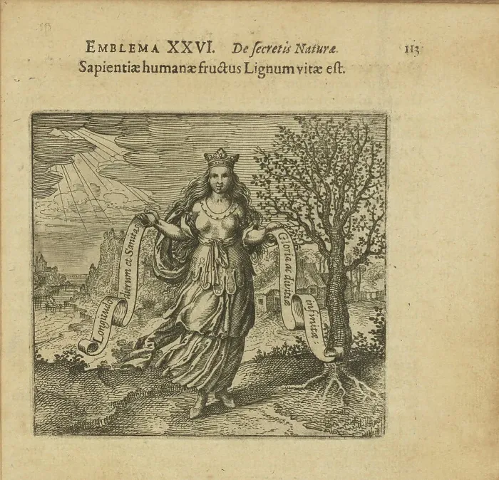 Framed Print : Emblem 26. The fruit of human wisdom is the wood of life, 1618. Creator: Merian, Matthäus, the Elder (1593-1650) Framed Print : Emblem 26. The fruit of human wisdom is the wood of life, 1618. Creator: Merian, Matthäus, the Elder (1593-1650)