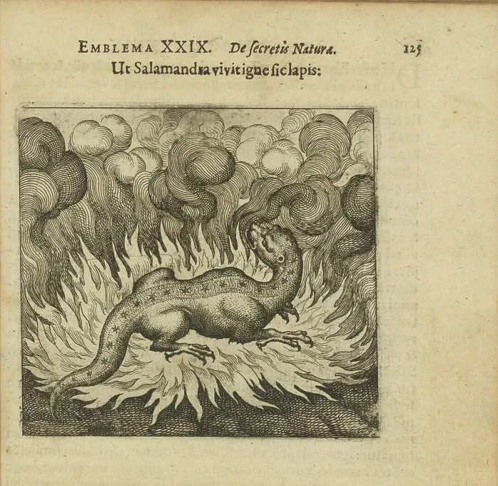 Framed Print : Emblem 29. As the salamander lives in fire, so does the stone, 1618. Creator: Merian, Matthäus, the Elder (1593-1650) Framed Print : Emblem 29. As the salamander lives in fire, so does the stone, 1618. Creator: Merian, Matthäus, the Elder (1593-1650)