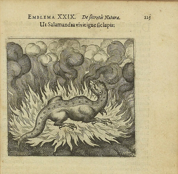 Emblem 29. As the salamander lives in fire, so does the stone, 1618. Creator: Merian, Matthäus, the Elder (1593-1650)