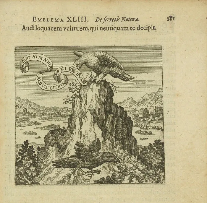 Framed Print : Emblem 43. Listen to the talking vulture, who in no way deceives you, 1816. Creator: Merian, Matthäus, the Elder (1593-1650) Framed Print : Emblem 43. Listen to the talking vulture, who in no way deceives you, 1816. Creator: Merian, Matthäus, the Elder (1593-1650)