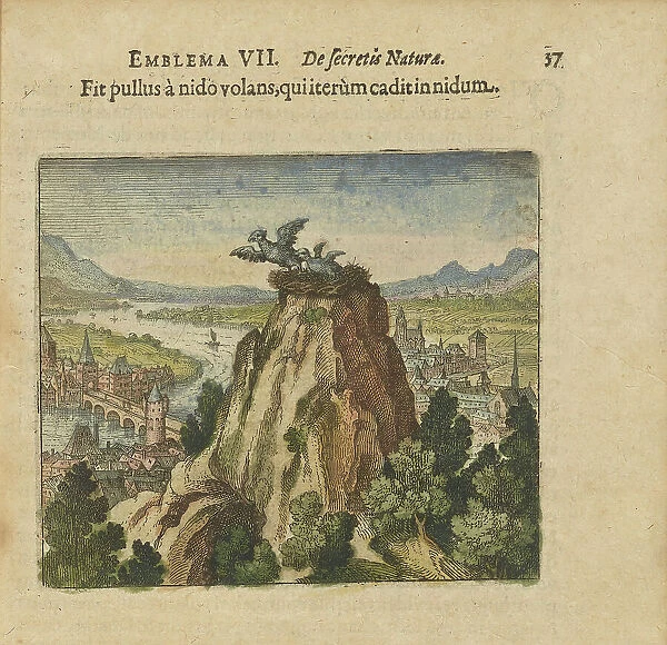 Emblem 7. The young bird flies from the nest and falls back into the nest, 1618. Creator: Merian, Matthäus, the Elder (1593-1650)