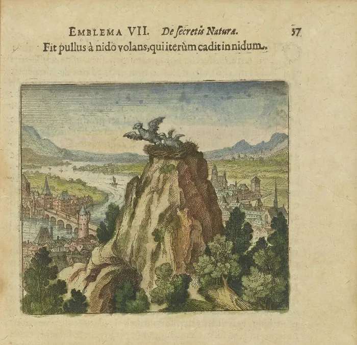 Framed Print : Emblem 7. The young bird flies from the nest and falls back into the nest, 1618. Creator: Merian, Matthäus, the Elder (1593-1650) Framed Print : Emblem 7. The young bird flies from the nest and falls back into the nest, 1618. Creator: Merian, Matthäus, the Elder (1593-1650)