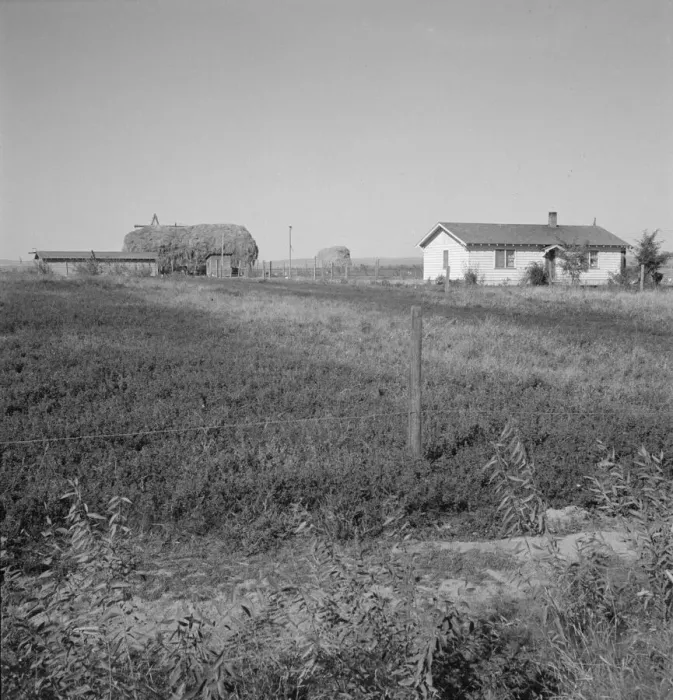 Framed Print : The Emmett Smith house, one of the best of the flat, Dead Ox Flat, Malheur County, Oregon, 1939. Creator: Dorothea Lange Framed Print : The Emmett Smith house, one of the best of the flat, Dead Ox Flat, Malheur County, Oregon, 1939. Creator: Dorothea Lange