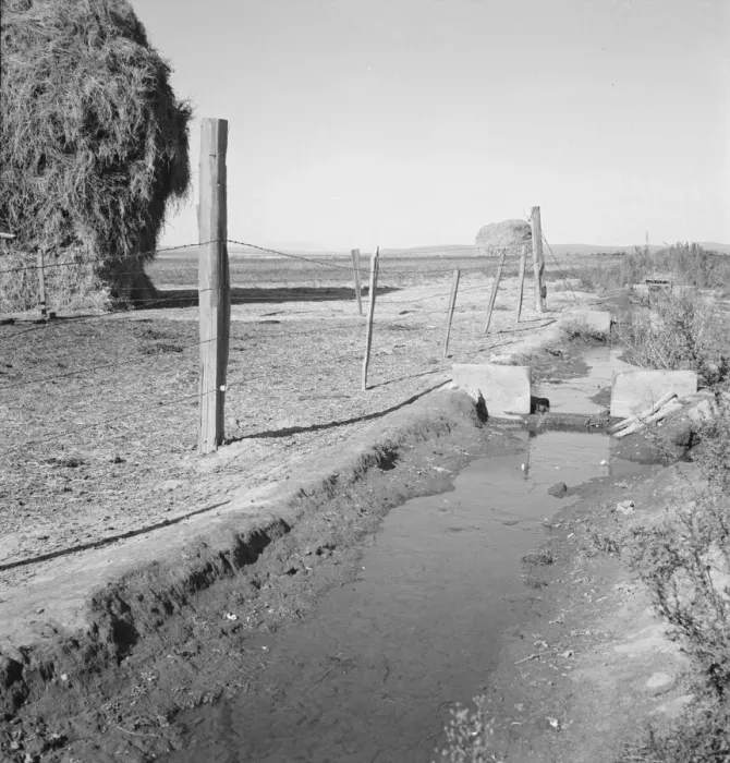 Framed Print : Emmett Smiths yard, back of the house, Dead Ox Flat, Malheur County, Oregon, 1939. Creator: Dorothea Lange Framed Print : Emmett Smiths yard, back of the house, Dead Ox Flat, Malheur County, Oregon, 1939. Creator: Dorothea Lange