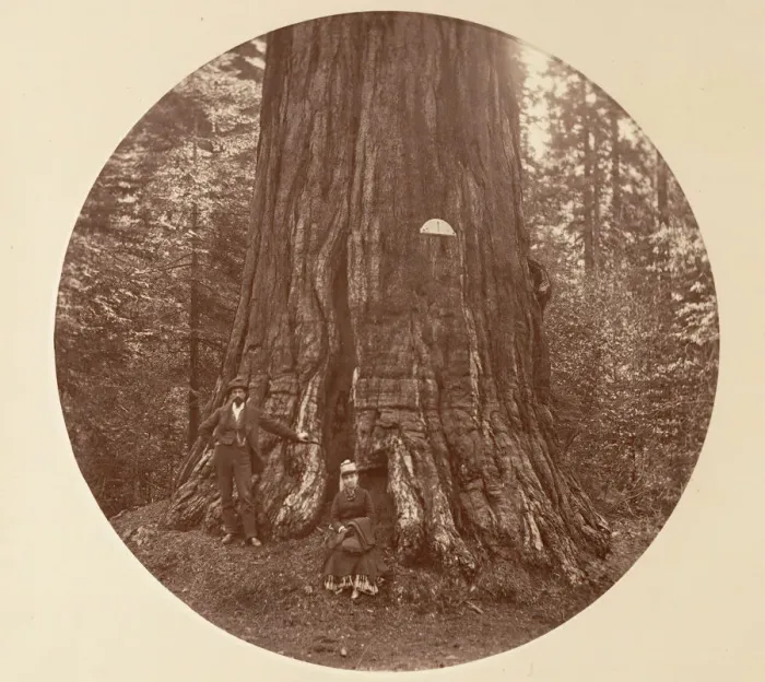 Framed Print : The Empire State - C. Grove, ca. 1878. Creator: Carleton Emmons Watkins Framed Print : The Empire State - C. Grove, ca. 1878. Creator: Carleton Emmons Watkins