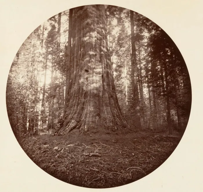 Framed Print : Empire State. C. Grove, ca. 1878. Creator: Carleton Emmons Watkins