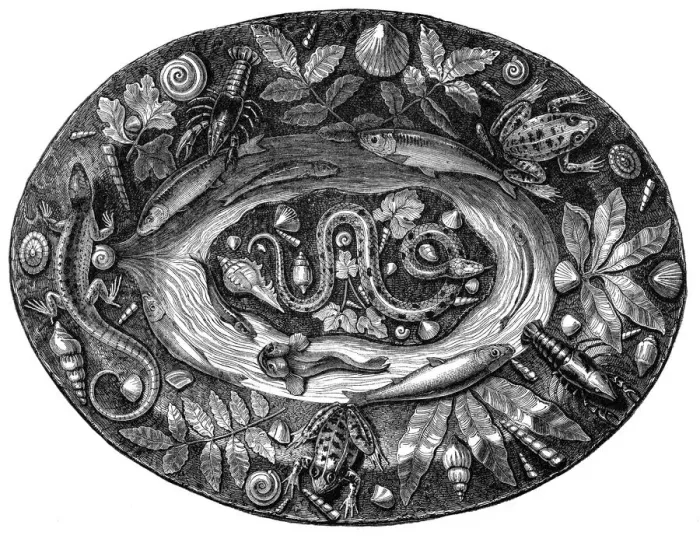 Framed Print : Enamelled dish by Bernard Palissy, 16th century, (1870) Framed Print : Enamelled dish by Bernard Palissy, 16th century, (1870)