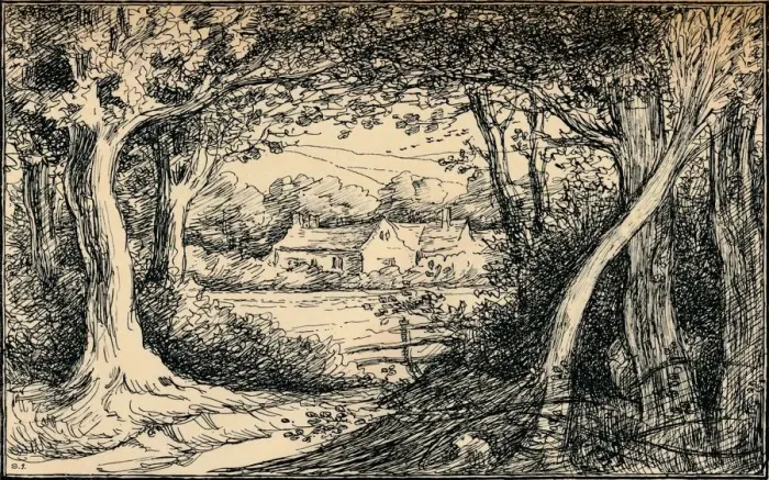 Framed Print : The End of the Glade, Epping Forest, c1900. Artist: Selwyn Image Framed Print : The End of the Glade, Epping Forest, c1900. Artist: Selwyn Image