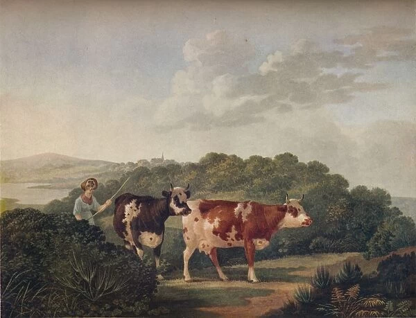 English Landscape, with Shorthorned Cattle, late 18th-early 19th century, (1930)